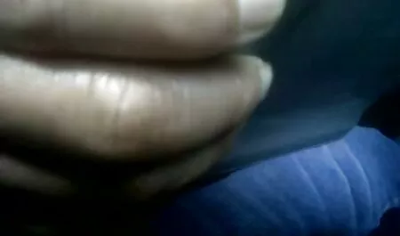 Torna alla foto come mamme pelose porche lei un pompino in bocca