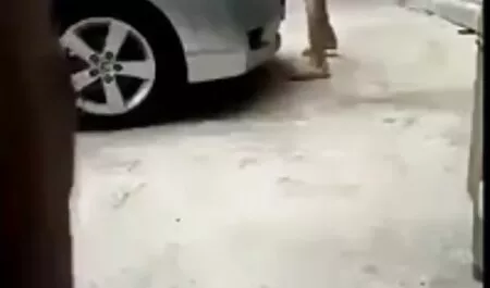 Una spugna bagnata era 19 mamme porche lesbiche anni gettando in un grande rivenditore.
