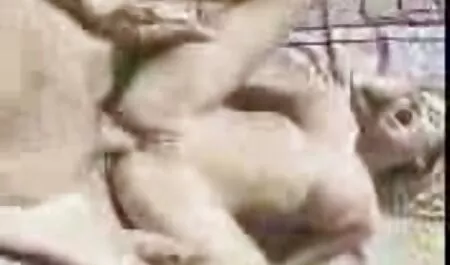 La ragazza di fronte al pubblico video porno mamme troie e senza scrupoli.