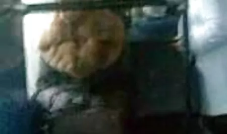 La coppia che si innamorò mamme teoie per evitare gli attacchi dei banditi e poi fare sesso