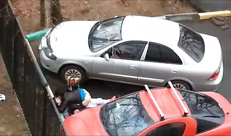 Girato su una macchina fotografica, un rosso, mamme mature porche peli di animali selvatici